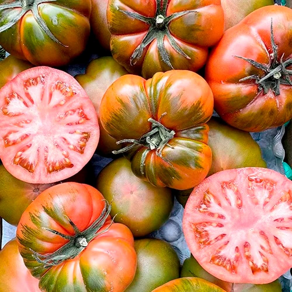 Tomate Raf | Comprar los mejores tomates Raf de temporada, frescos, de sabor único y cultivados de forma sostenible en España, directos del agricultor a tu mesa (4 Kg) — view 4