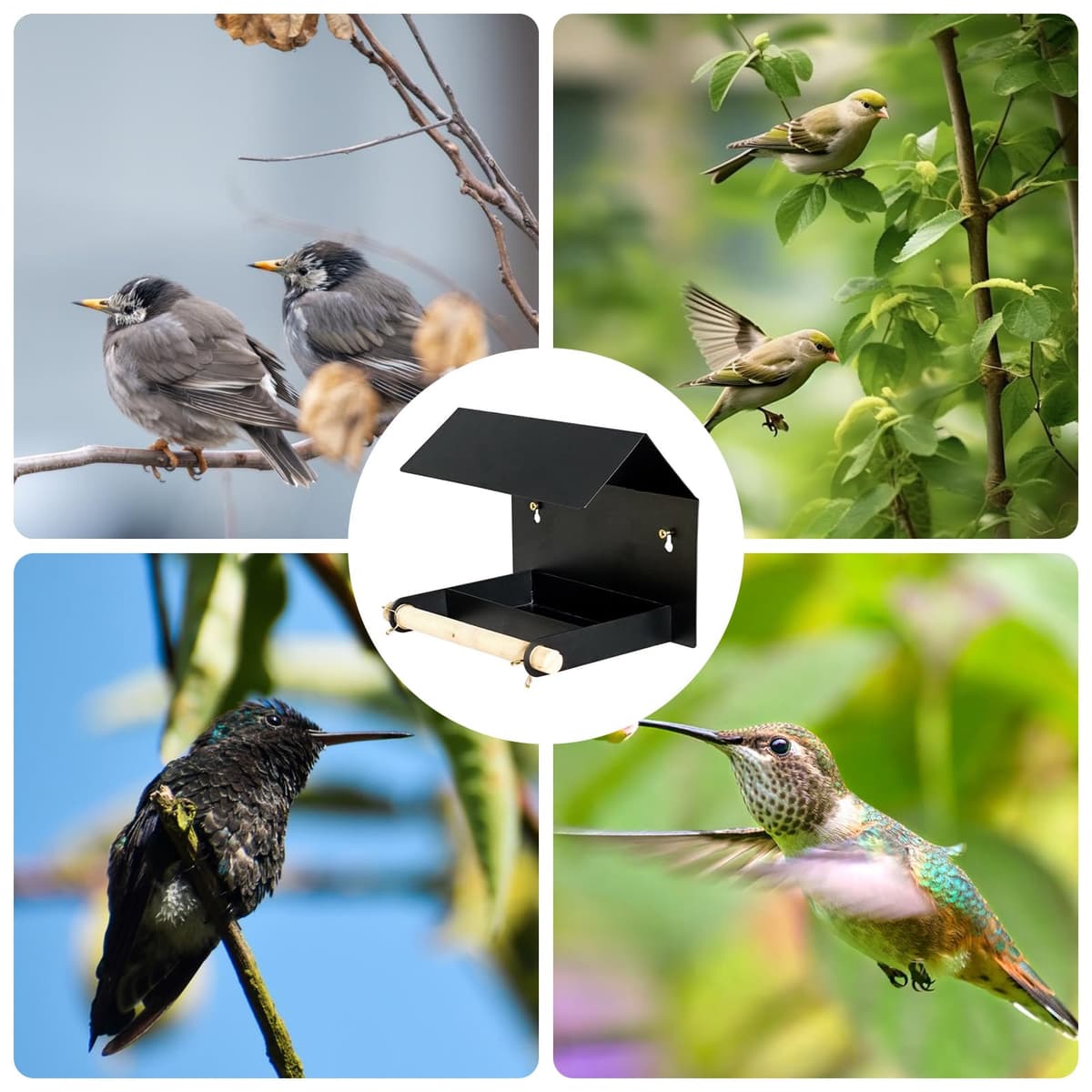 Comederos para Exteriores - de alimentación Impermeable con Visera | Grande para colibríes - para jardín, terraza, Patio, árbol, balcón, campanario gorrión — view 4