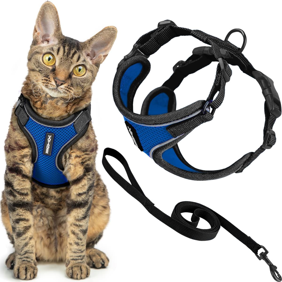 Best Pet Supplies Voyager Step-in Lock Pet Harness – All Weather Mesh, Adjustable Step in Harness for Cats and Dogs Turquoise (Matching Trim), XL (Chest: 22-36") — view 75