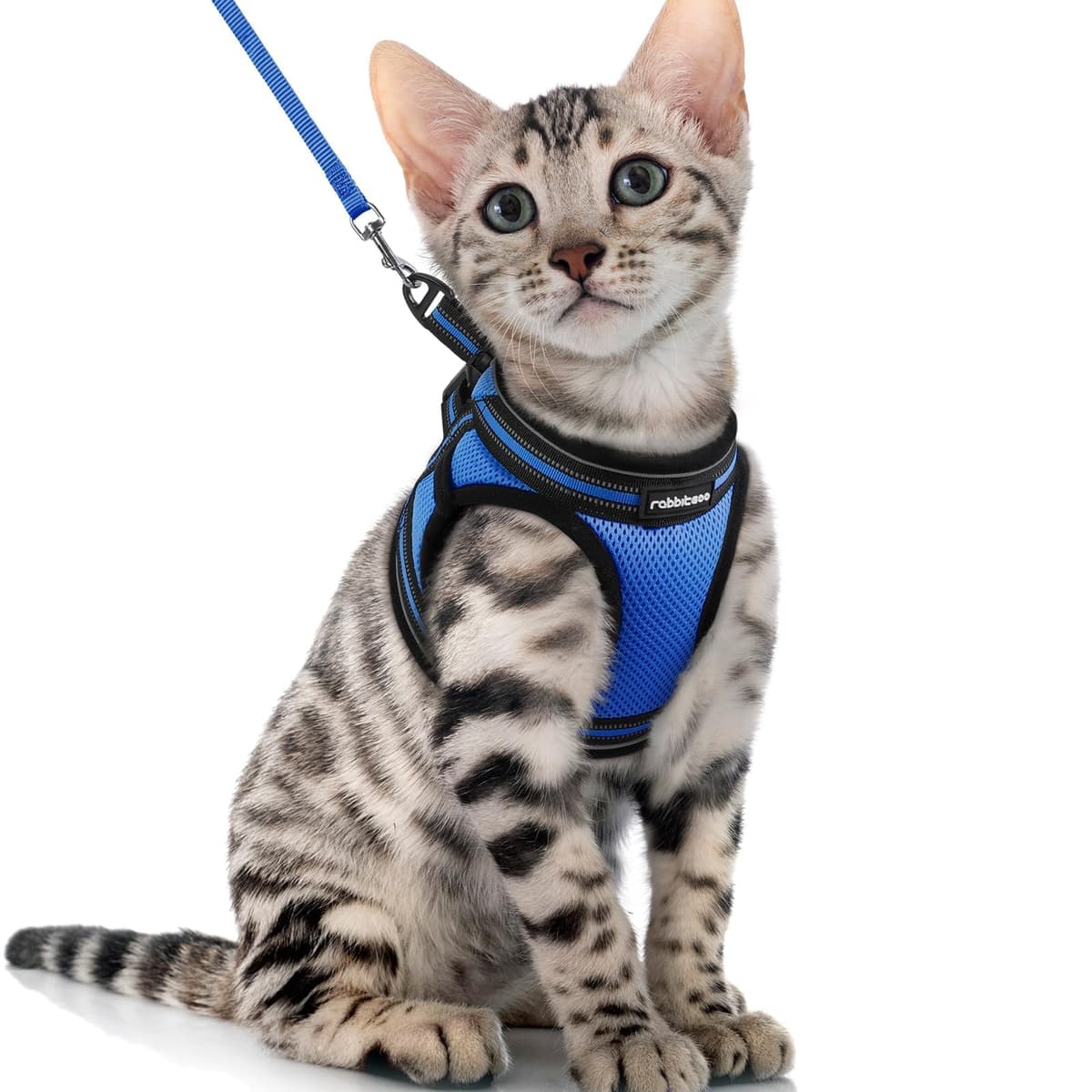 rabbitgoo Cat Harness and Leash Set for Walking Escape Proof, Adjustable Soft Kittens Vest with Reflective Strip for Cats, Comfortable Outdoor Vest, Black, Small — view 23