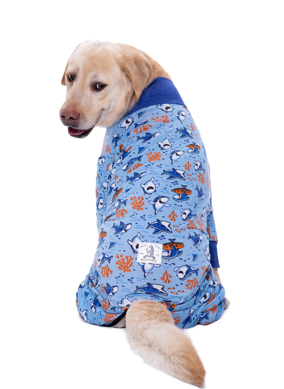 Large Dog Clothes, Elastic Pet Onesie Clothes Protect Joints Anti-hair Anti Licking, Wound Protection Pet Pajamas PJS Dog Jumpsuit For Medium Large Dogs(4XL,Blue Shark) — view 5
