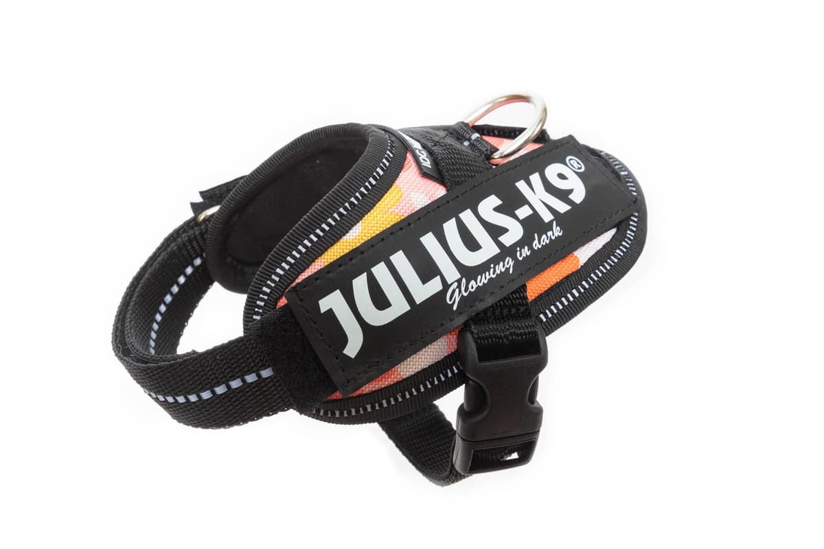 Julius-K9, 16IDC-AM-M, IDC Powerharness, dog harness, Size: Mini, Aquamarine — view 51