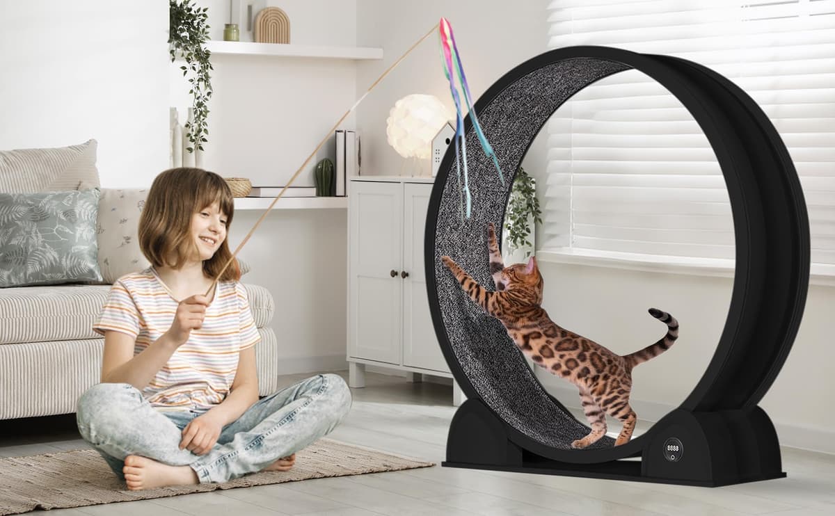 Rueda de Ejercicio para Gatos de Interior, diseño silencioso, Madera Natural Extra Grande, Pista alfombrada de 320 cm Desmontable con podómetro Inteligente, Ideal para Correr y Caminar — view 2
