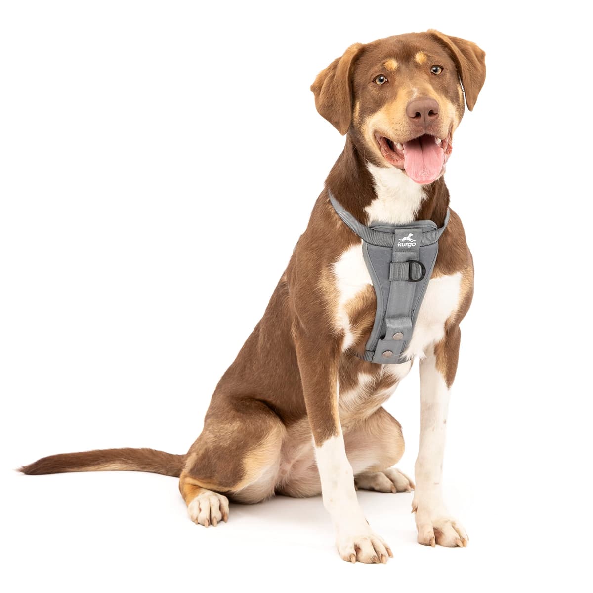 Kurgo Tru-Fit Smart Dog Walking Harness - Comfortable Fit - Adjustable Harness - Reflective Pet Wear - Quick Strap Release - Daily Walk Accessory - Includes Seat Belt Loop - Black - Medium — view 14