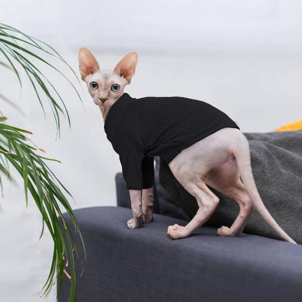 Hairless Cats Vest Turtleneck Sweater, Breathable Cat Wear Shirt Clothes, Pullover Kitten T-Shirts with Sleeves, Cat's Pajamas Jumpsuit for Sphynx, Cornish Rex, Devon Peterbald, Green — view 5