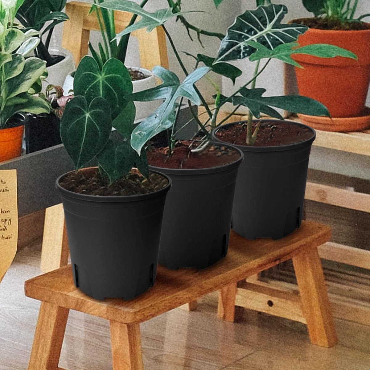Macetas,16.2cm 5pcs Plantador Plastico con Orificio de Drenaje, Control de Raíces, para Plantas de Bonsái de Interior Exterior Jardín - Negro — view 4