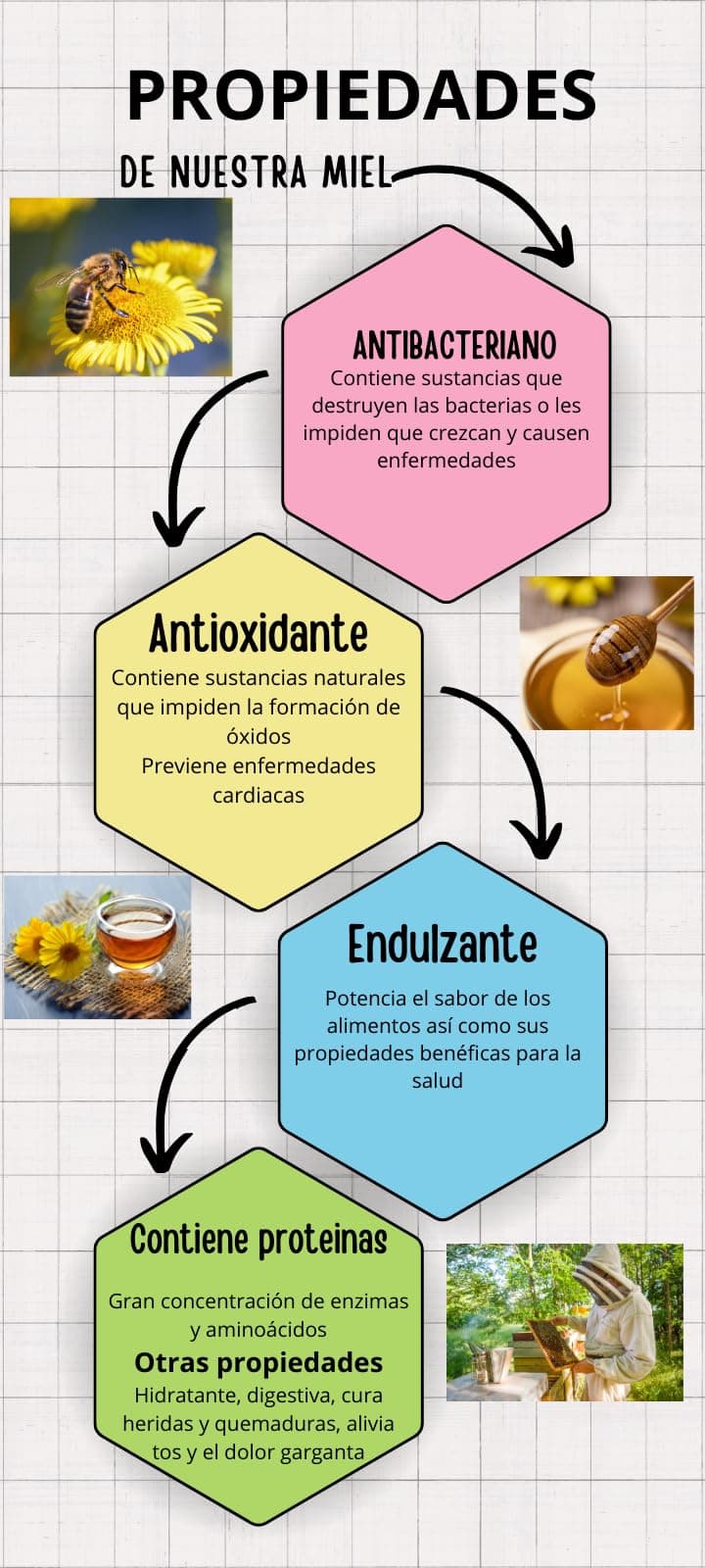 Miel Pura de Abeja-100% Origen España-Miel Cruda-1Kg-Miel Natural-Directa de Apicultor-Sin Procesar-Sin Pasteurizar. (Kg, Flores silvestres) — view 2