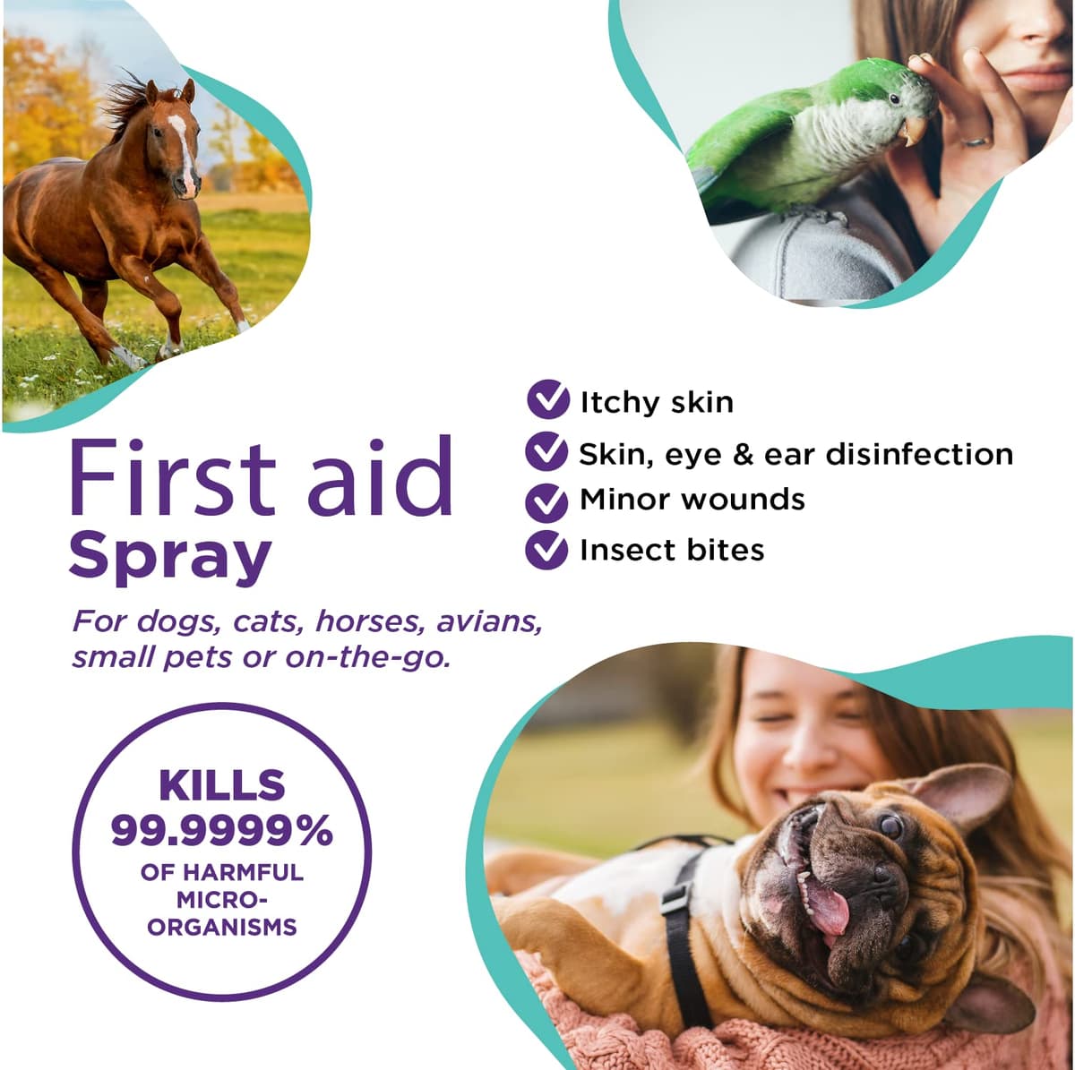 RenaSan Animal First Aid Spray (100ml) – Wound Disinfection, Kills Bacteria & Stops Itching, Alcohol-Free, Non-irritating, for Dogs, Cats & all other animals. — view 6