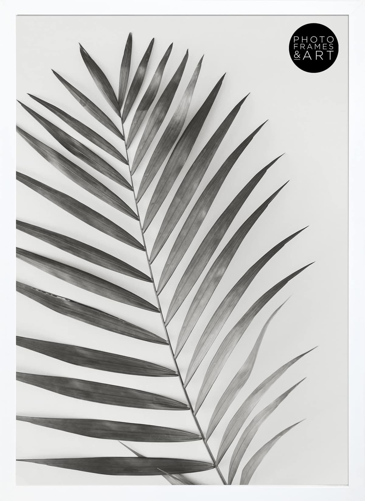 pf+a REAL GLASS A3 Black Frame Glass - PREMIUM A3 Picture Frame Black - Oxford A3 Print Portrait and Landscape Display — view 42