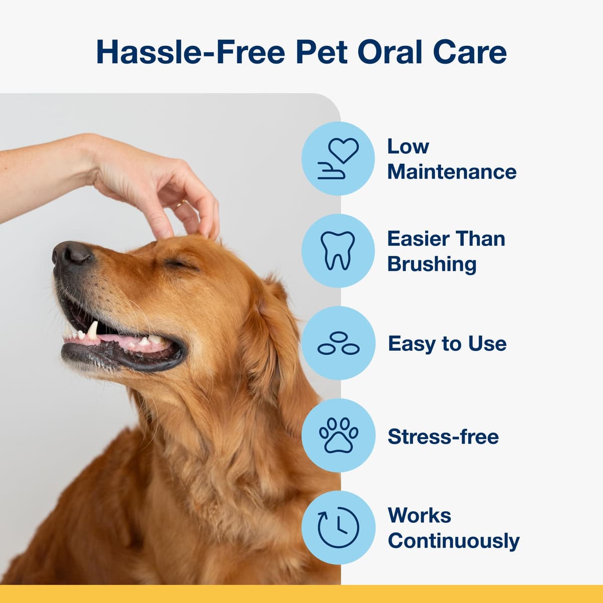 ProDen PlaqueOff Dental Bites Bundle for Small Dogs - Tartar & Bad Breath Remover 100% Natural Teeth Cleaner - Improve Overall Oral Health - 60g — view 3