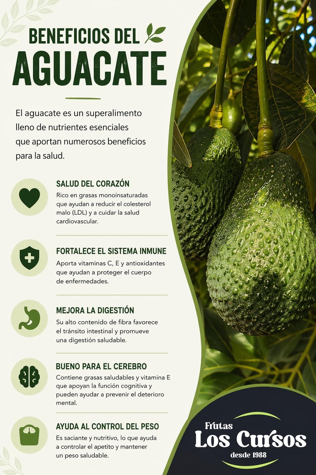 Aguacate Hass Pack 4 kg nacional Punto de Maduración (READY) - Compra Aguacates Hass seleccionados uno por uno para ti. Aguacates frescos. — view 3