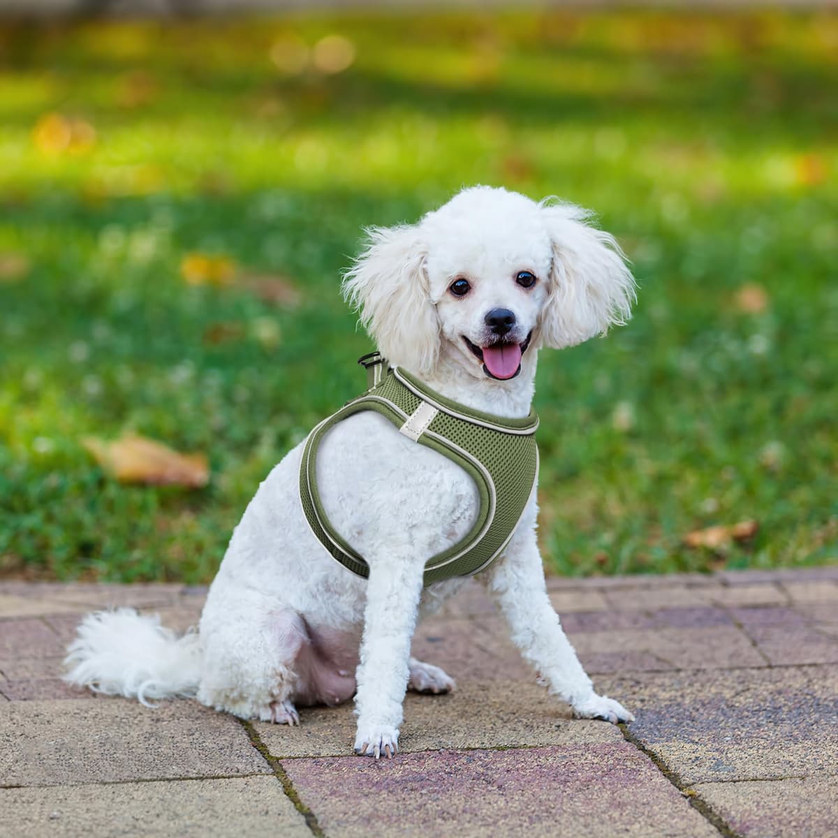 HEELE Arnés Chaleco Perro Pequeño Ajustable Suave Acolchado Cómodo para Viajar Pasear con Mascota Pequeña Cachorro Chihuahua, Verde Ejército, XS — view 5