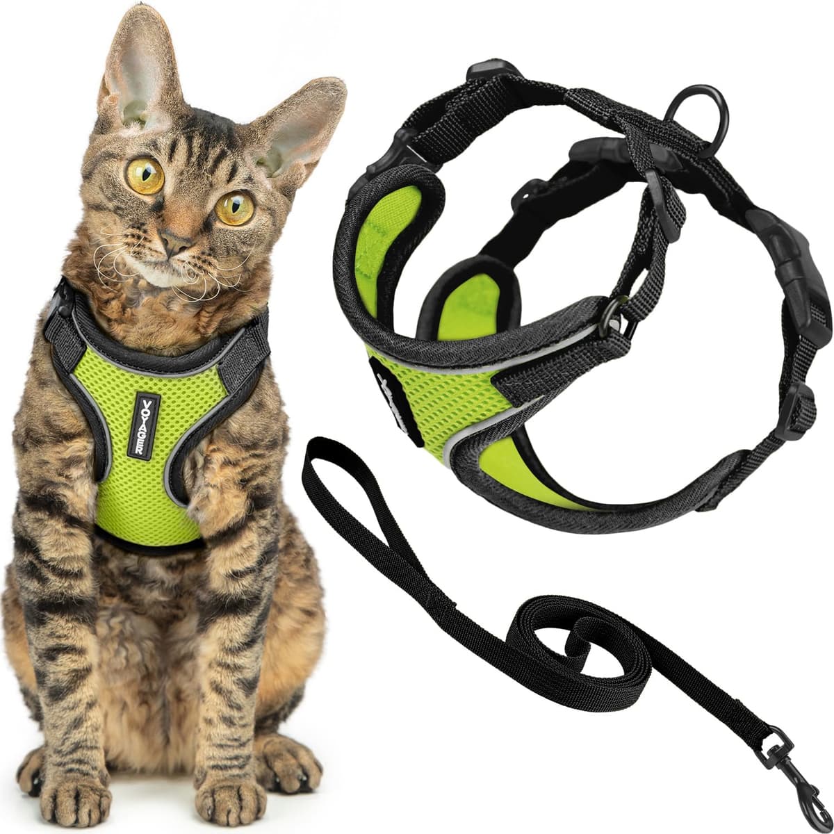 Best Pet Supplies Voyager Step-in Lock Pet Harness – All Weather Mesh, Adjustable Step in Harness for Cats and Dogs Turquoise (Matching Trim), XL (Chest: 22-36") — view 99