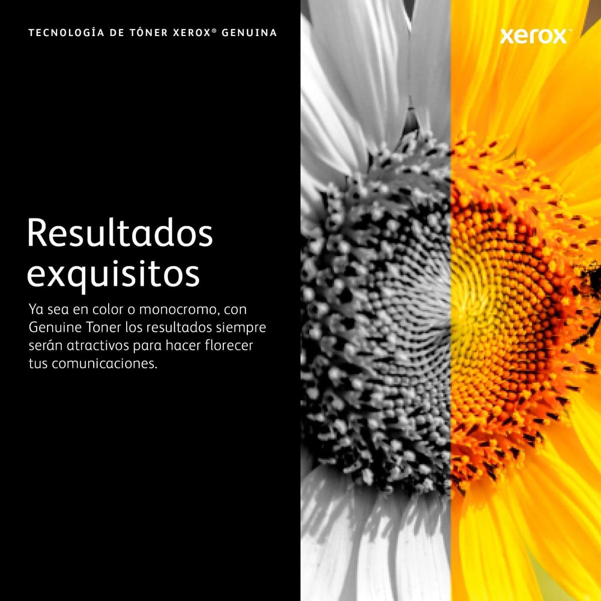 Xerox Original C310 / C315 Cian Cartucho de Tóner Estándar Capacidad (2,000 Páginas) - 006R04357 — view 5