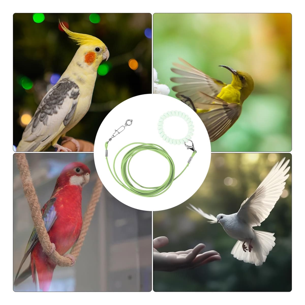 Cadena de pie de pájaro, Cuerda voladora Desmontable para Loros para Mascotas, Juguete de Entrenamiento para pájaros Resistente a Las mordeduras con de Tobillo para terraza, jardín, Patio — view 4