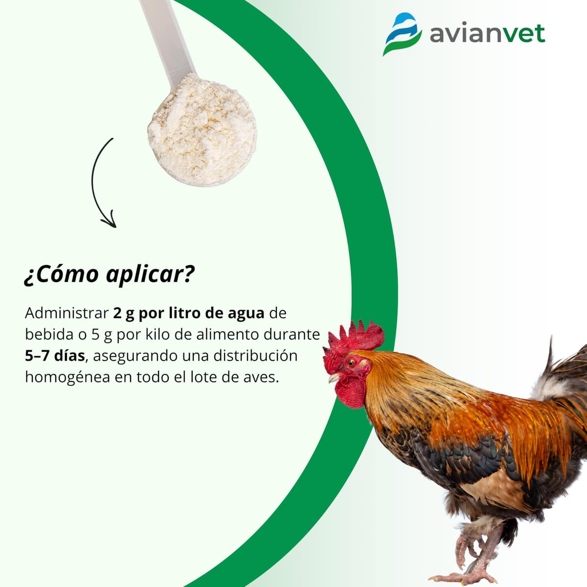 Pro Bio Flora Gallinas | Probiótico para Aves de Corral con Enterococcus faecium | Flora Intestinal, Salud Digestiva y Bienestar en Aves de Corral 150 g — view 3