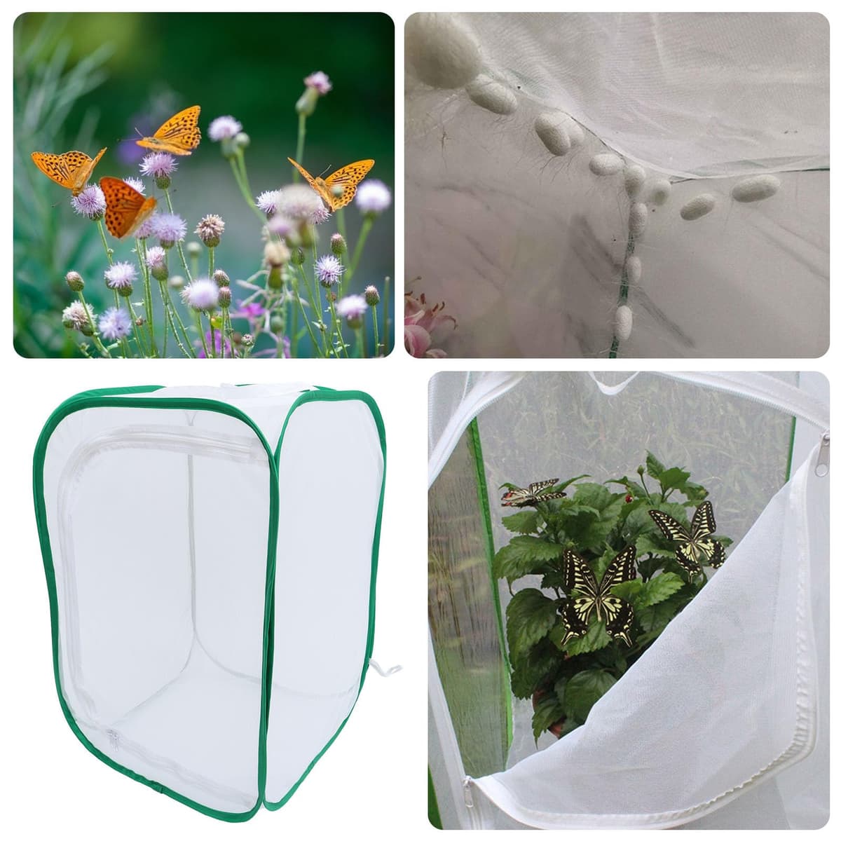 HAPINARY Jaula Plegable para Mariposas 40x40x60 Cm Malla Transpirable para Incubadora de Plantas y Hábitat Insectos, Caja Protectora para Mascotas y Cultivo de Plántulas — view 4