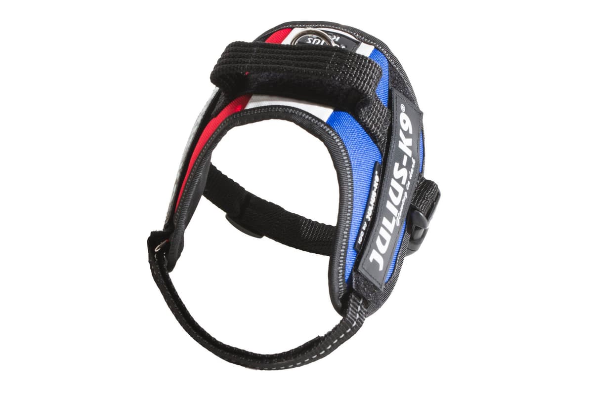 Julius-K9, 16IDC-AM-M, IDC Powerharness, dog harness, Size: Mini, Aquamarine — view 444