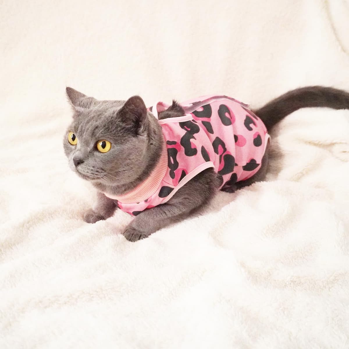Cat Professional Recovery Suit，Body Suits for Abdominal Wounds or Skin Diseases，E-Collar Alternative for Cats, Onesie Cat Clothes After Surgery Collar & Cone Alternative — view 5