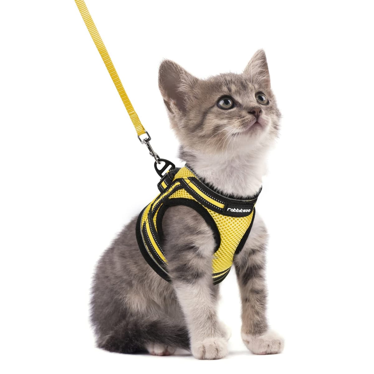 rabbitgoo Cat Harness and Leash Set for Walking Escape Proof, Adjustable Soft Kittens Vest with Reflective Strip for Cats, Comfortable Outdoor Vest, Black, Small — view 32