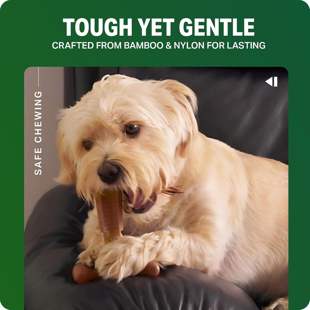 Bamboodles Dog Chew Toy – Small | Beef Flavour | Long Lasting Chew toy for Small Dogs | Durable and Safe Daily Chew — view 5