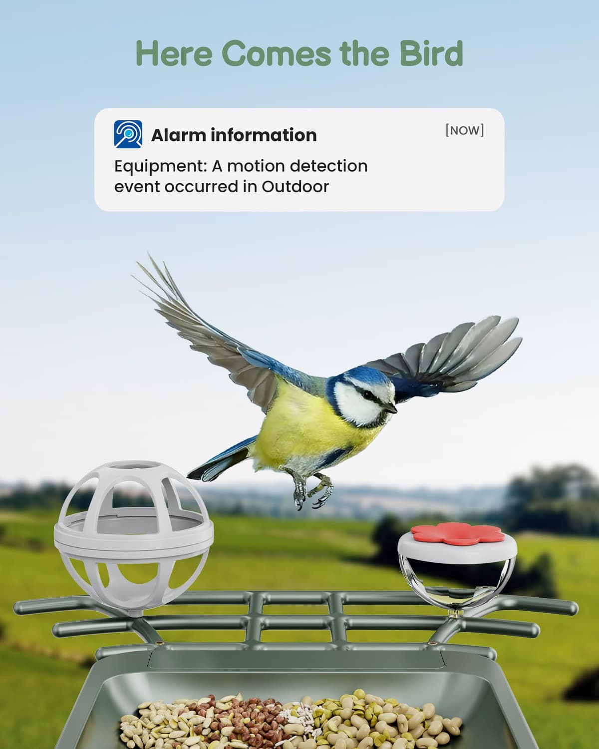 Comedero para pájaros con cámara solar al aire libre: cámara inteligente para jardín exterior, cámara de video en vivo HD 2K, reconocimiento de IA, ventana visible, captura automática, regalos para — view 2