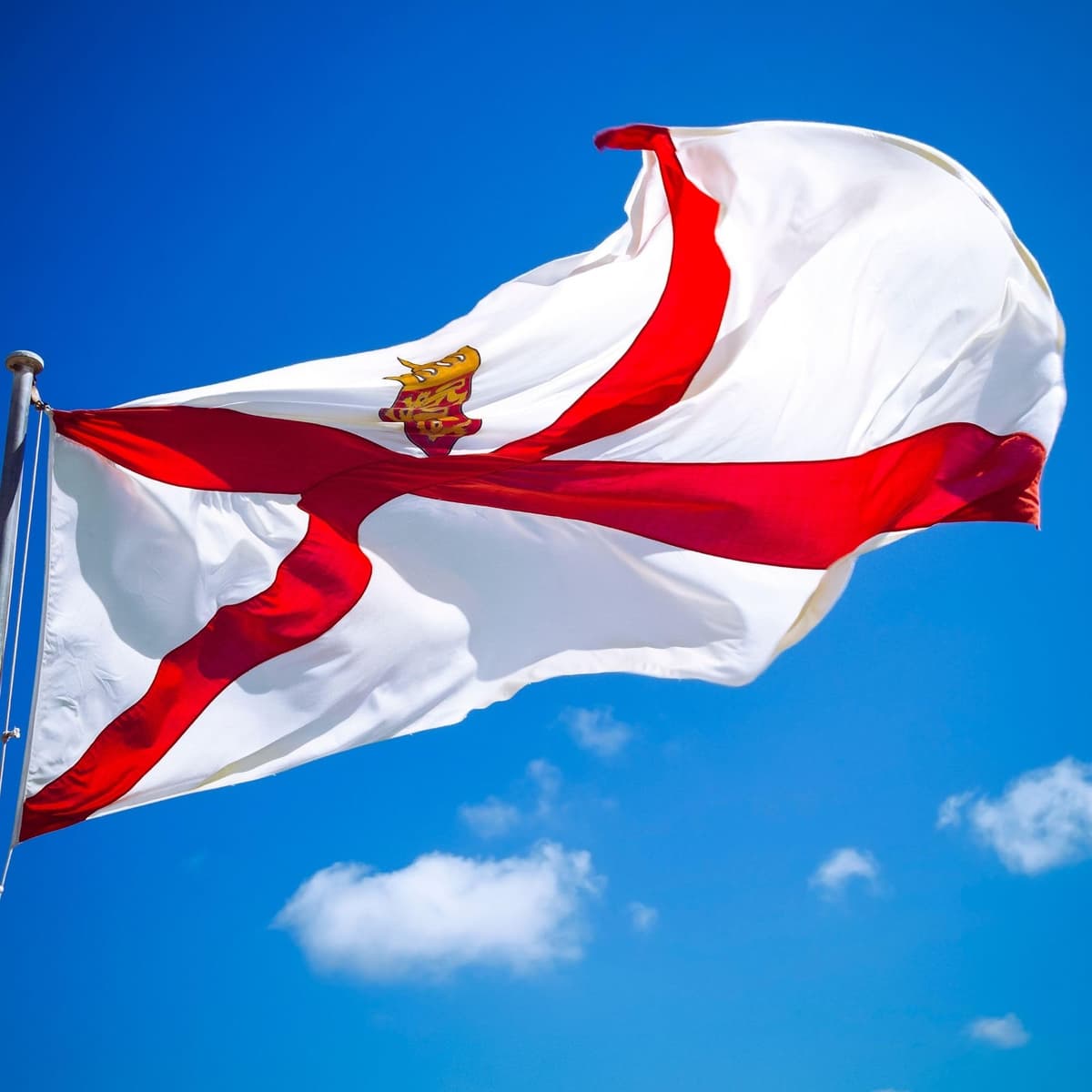 Runesol Cornwall Flag - 91x152cm, 3ft x 5ft, Cornish Flag, 4 Grommets, Eyelet in Every Corner, Premium Quality, Inside & Outside Use, Vivid Colours — view 155