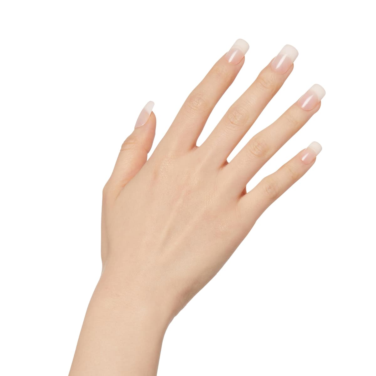 KISS Salon Acrylic French Nude Collection, Cashmere, Medium Length Nude Fake Nails, Includes False Nails, Nail Glue, Nail File, and Manicure Stick, 28 Count (Pack of 1) — view 5