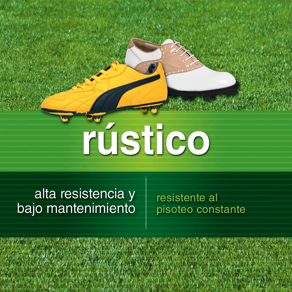 Flower - Semillas de Césped Rústico Resistente 1 kg | Crecimiento Rápido | Ideal para zonas de paso | Bajo Mantenimiento | Cubre 35 m² | Resistente a Sequía — view 3