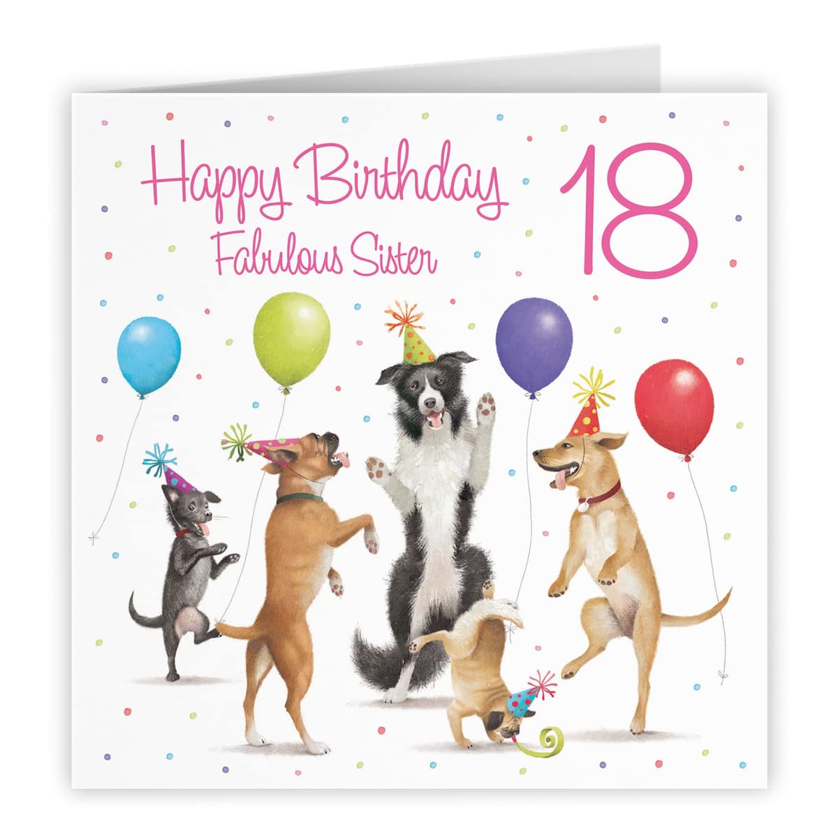 Hunts England 18th Sister Birthday Card - Dancing Dogs - Fabulous Sister - Age 18 - Women's 18th Birthday Card - Milo's Gallery - Funny — view 4