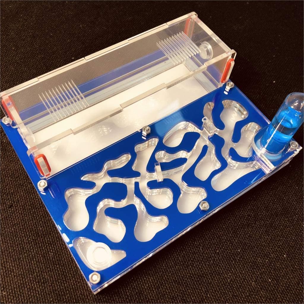 Ant Grape Formicarium Educativo para Granja de Hormigas para Tubo de ensayo de Hormigas Vivo Humedad Gran Espacio Nido de Hormigas de acrílico, Hormigas Insectos (Naranja) — view 10