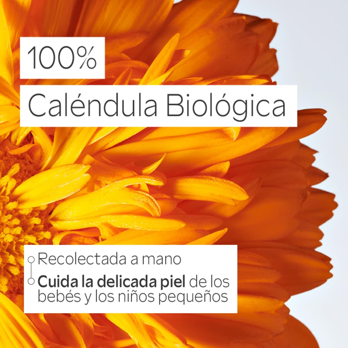 Weleda - Leche Corporal de Caléndula para Bebé, Hidrata, Nutre, Calma y Protege, Apto para Pieles Sensibles - 200 ml — view 6