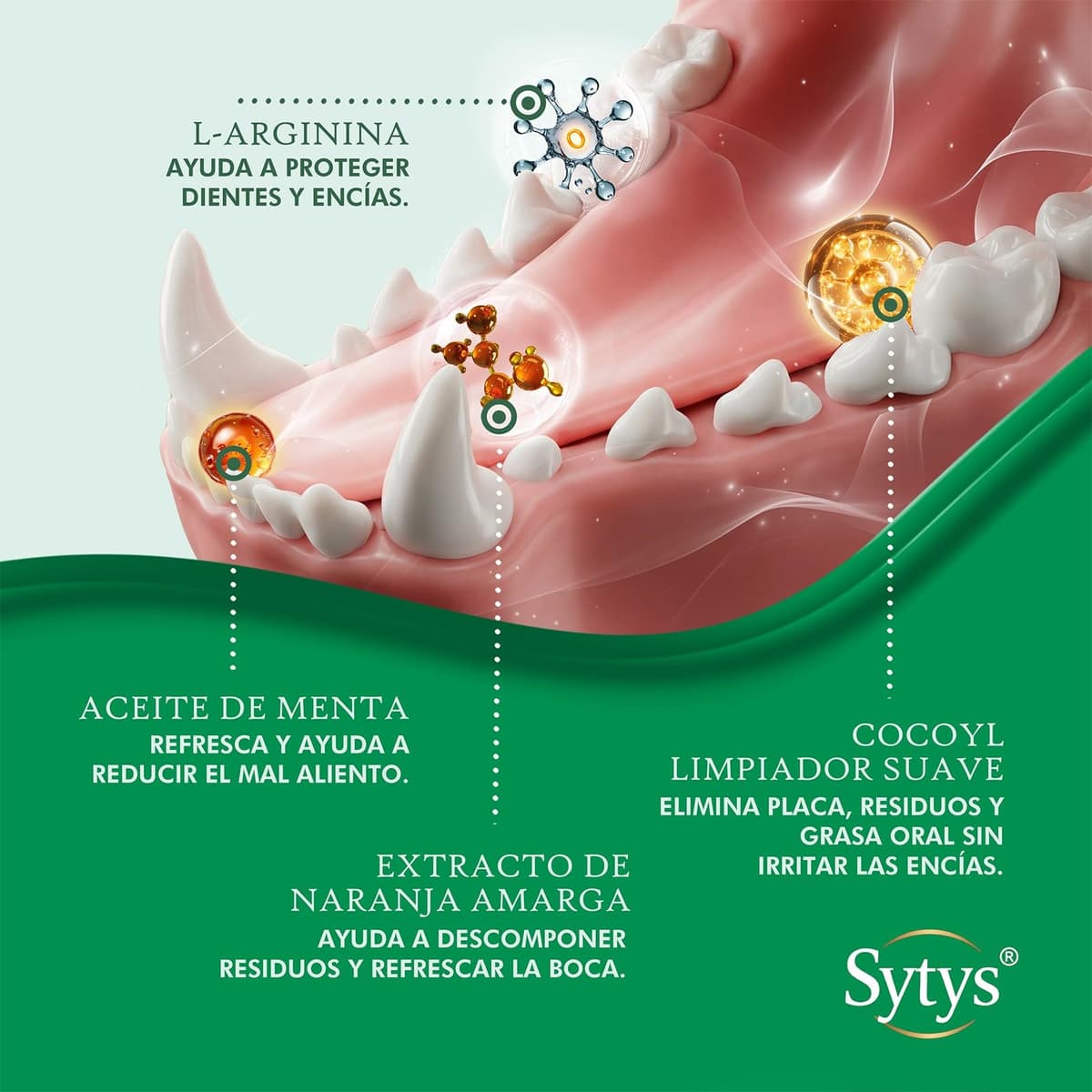 Toallitas Dentales para Perros y Gatos 50 Dedales Desechables Limpieza Dental sin cepillo dientes perro Reduce Placa y Mal Aliento Sabor Menta Natural Higiene Diaria Dedal Limpieza Dientes perro — view 4
