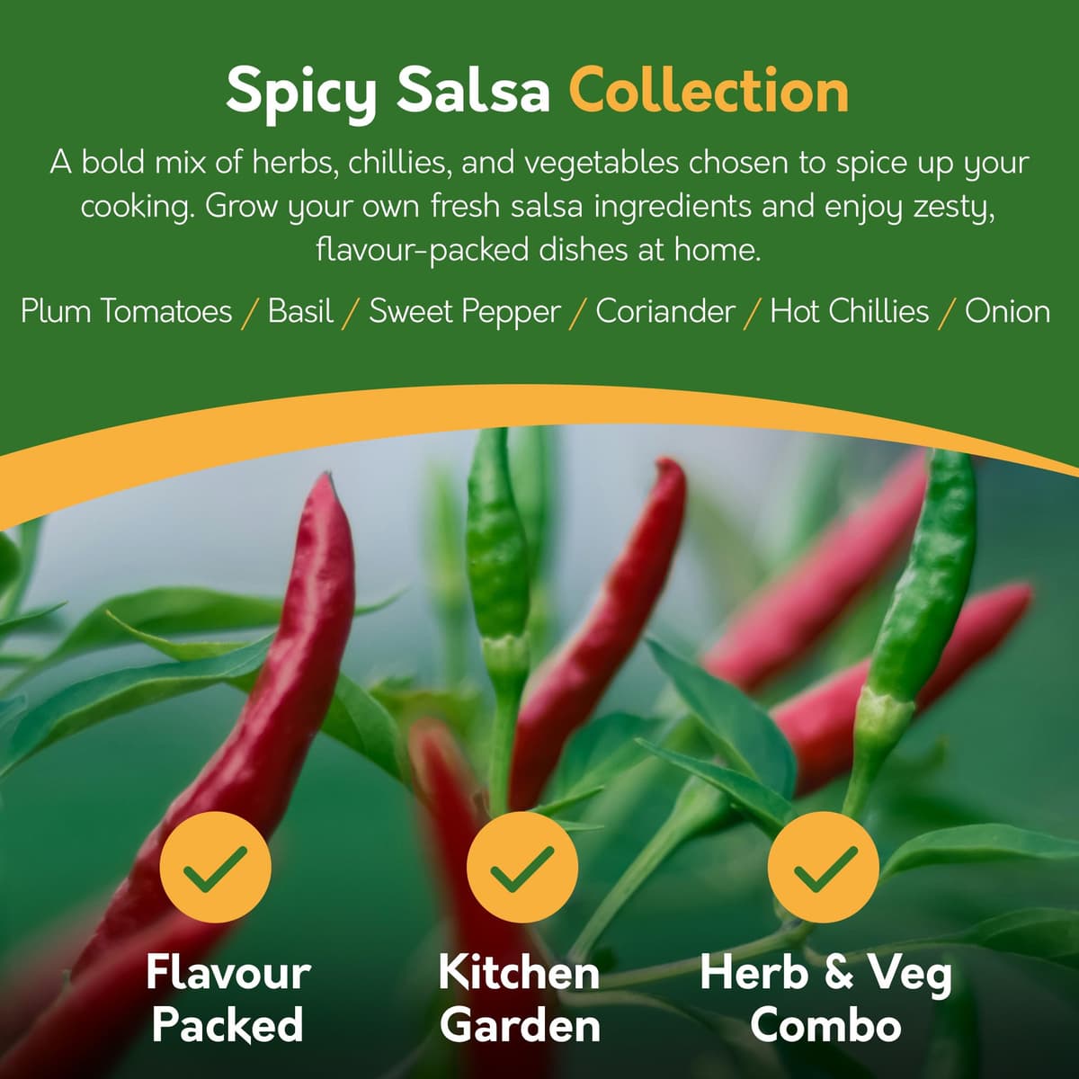 Pronto Seed Grow Your Own Vegetable & Herb Kit – 21 Varieties, 1700+ Seeds for Planting UK – Salad, Spicy, Peas & Beans Mix – Gardening Gifts for Men & Women with Growing Guide — view 5