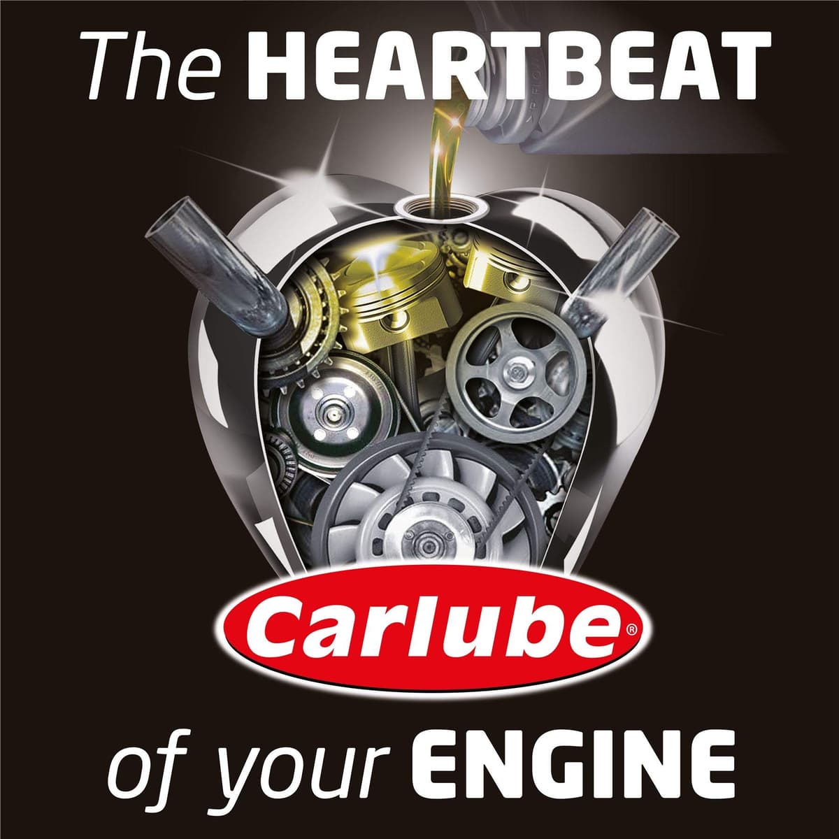 Carlube XLN501 2-Stroke Garden Machinery Oil — view 3