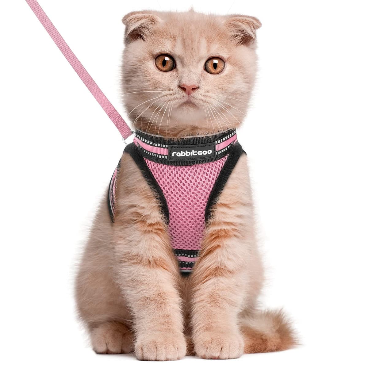 rabbitgoo Cat Harness and Leash Set for Walking Escape Proof, Adjustable Soft Kittens Vest with Reflective Strip for Cats, Comfortable Outdoor Vest, Black, Small — view 28