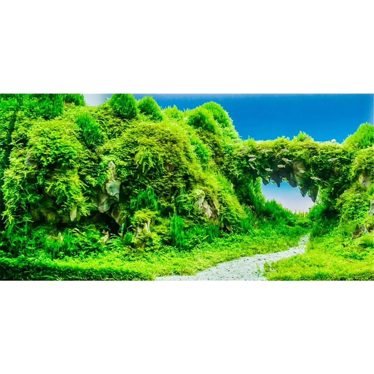 120x50cm Aquarium Background Rock 3D Rock Stones Grass Terrarium Background Decoration Reptile Tank Backgrounds — view 5