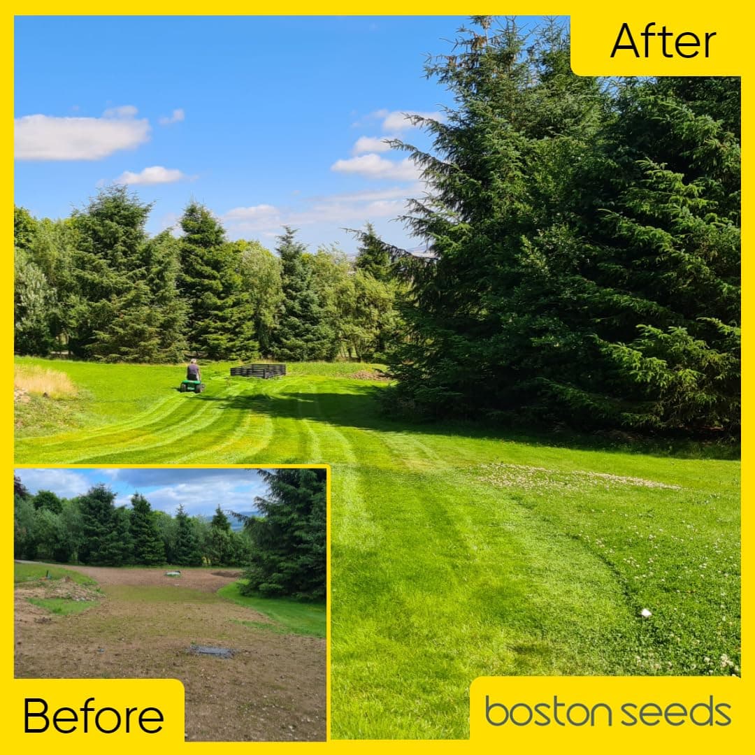 Boston Seeds Fast Growing Grass Seed - Hard Wearing Grass Seeds in Various Weights. Rapid Germination Seeds for Lawns & Landscapes (Eco - 5 Kilogram). — view 2