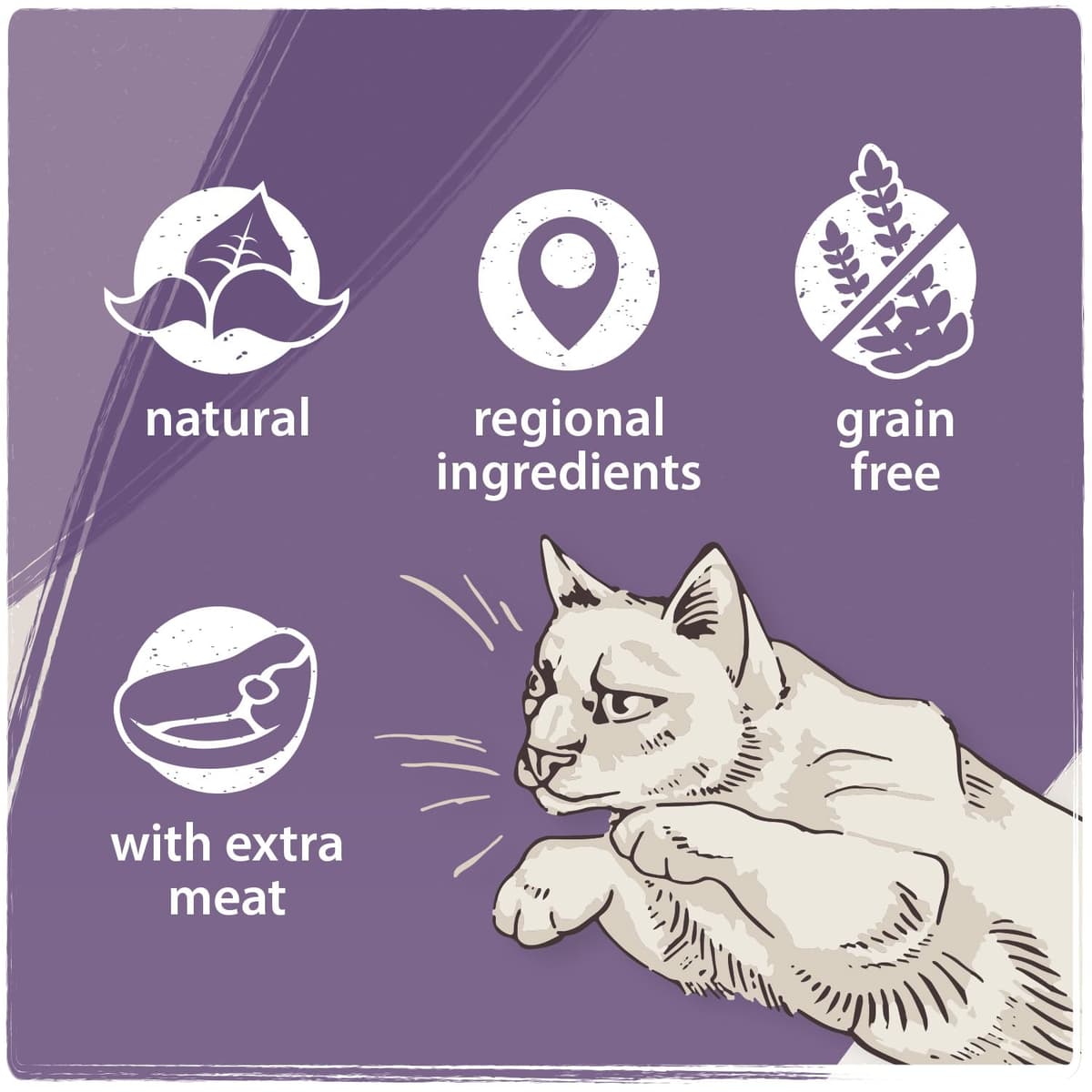 Venandi Animal Premium Cat Food, Horse as Monoprotein, Wet Food, Grain-Free and Natural, Pack of 6 (6 x 200 g) — view 4