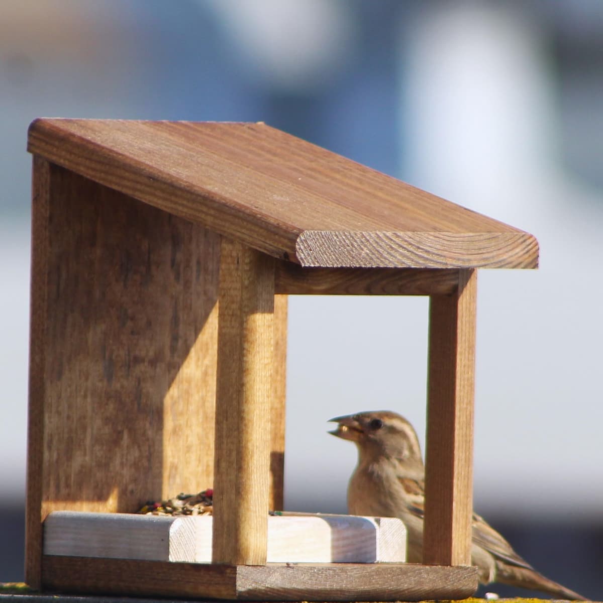 ecol-logic Comedero para pájaros 'Wengué' — view 4