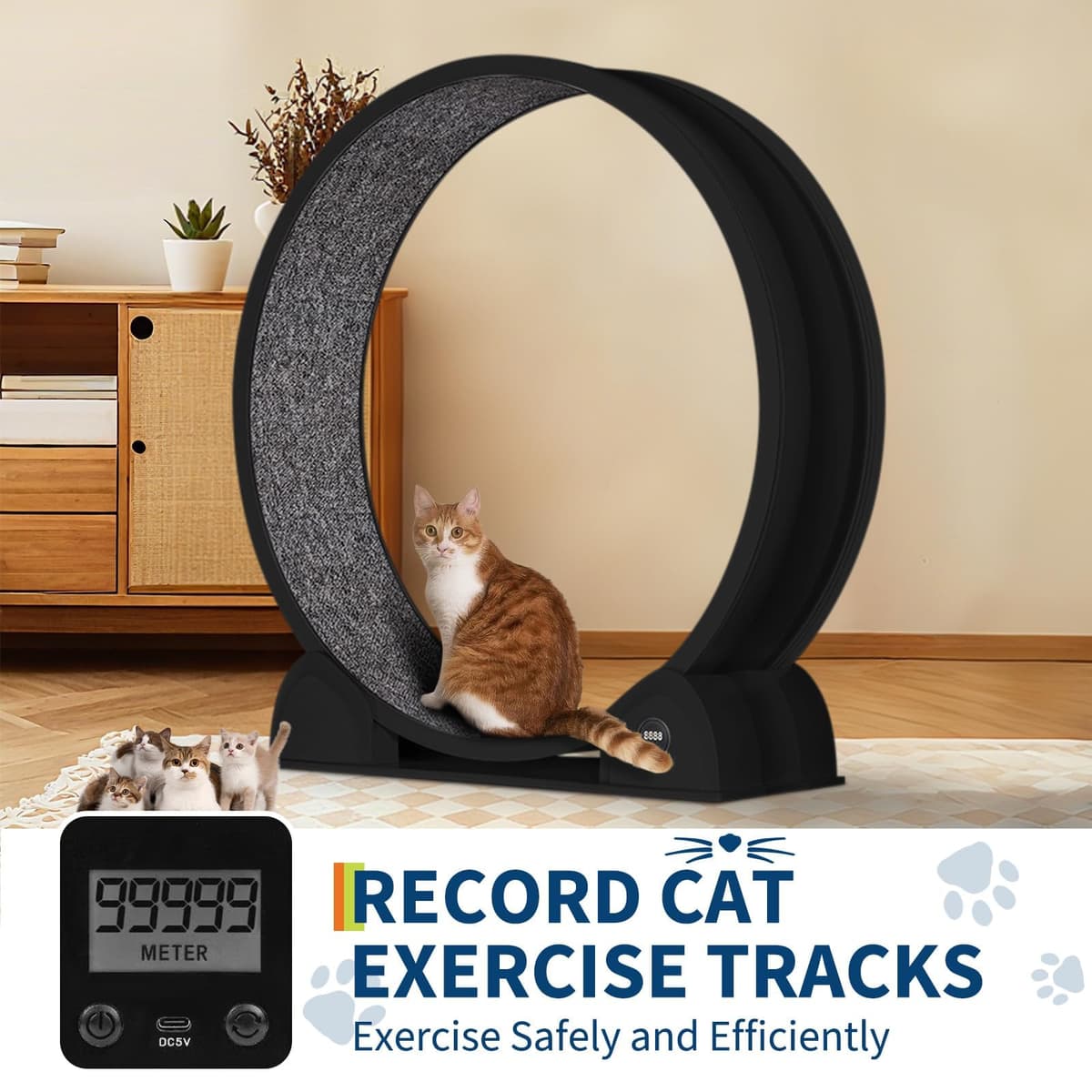 Rueda de Ejercicio para Gatos de Interior, diseño silencioso, Madera Natural Extra Grande, Pista alfombrada de 320 cm Desmontable con podómetro Inteligente, Ideal para Correr y Caminar — view 4