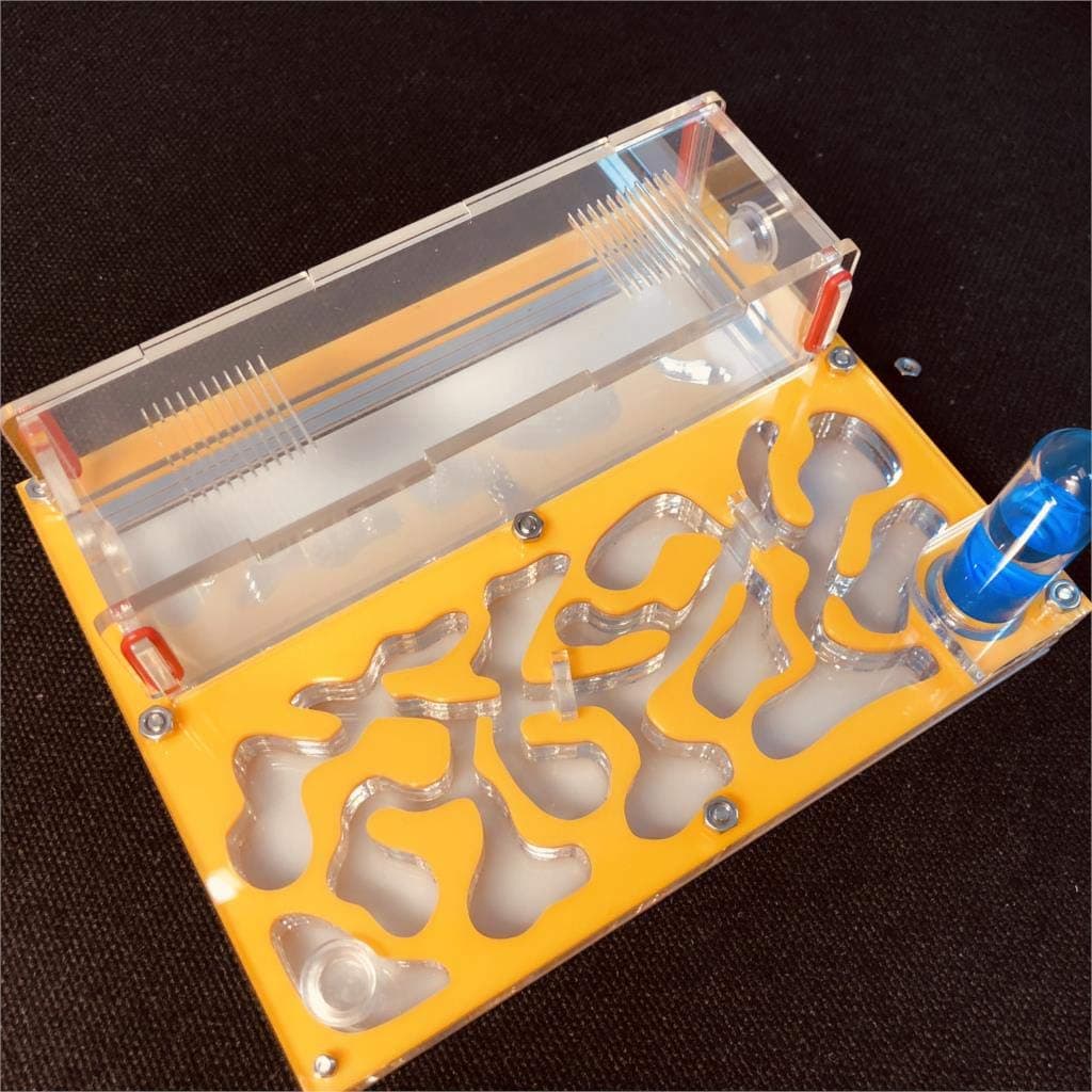 Ant Grape Formicarium Educativo para Granja de Hormigas para Tubo de ensayo de Hormigas Vivo Humedad Gran Espacio Nido de Hormigas de acrílico, Hormigas Insectos (Naranja) — view 9