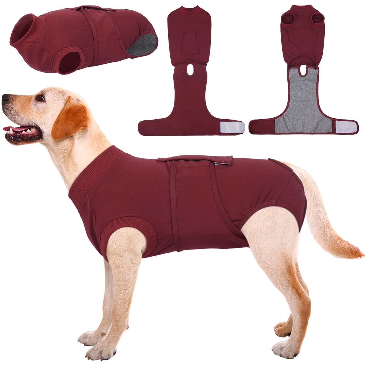 Kuoser Traje de recuperación de Perro para Hombre/Mujer, Camiseta para Cachorros después de la cirugía, Alternativa de Cuello electrónico para Mascotas pequeño, Mediano y Grande — view 29