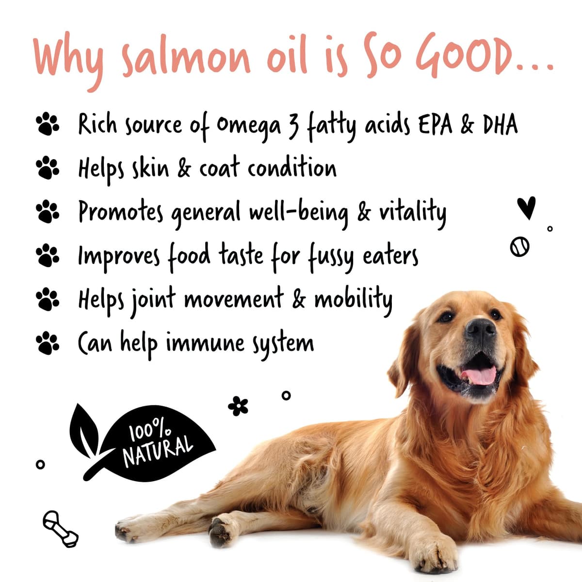 Bugalugs Scottish Salmon Oil For Dogs & Cats, Dog Supplement Support for Skin And Coat, Itchy Skin & Moulting, Omega 3 Fish Oil (Salmon, 500ml) — view 6