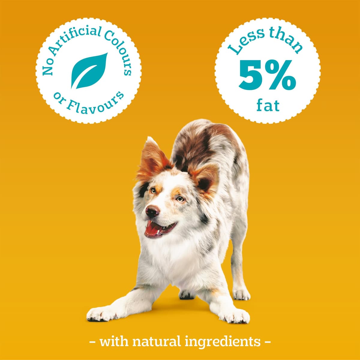 PEDIGREE TASTY MINIS Adult Dog Treats Cheese & Beef Nibbles 140g - Pack of 8, Packaging May Vary — view 4