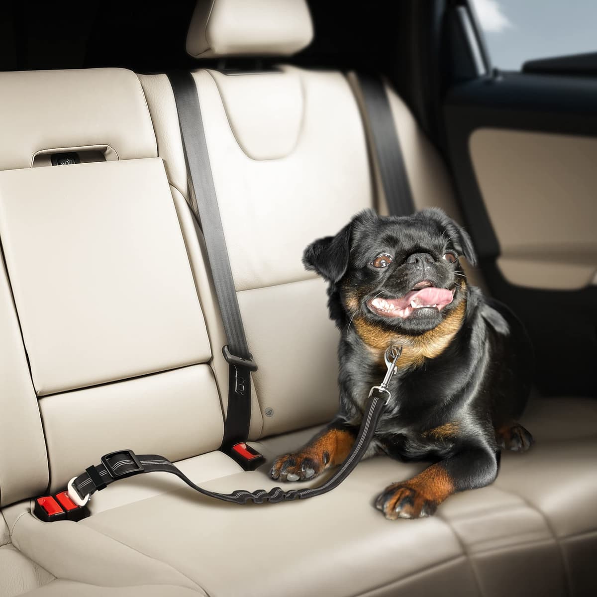 2 Pack Dog Seat Belt for Cars UK, Dog Car Harness, Heavy Duty, Double Layer, Elastic, Adjustable Safety Pet Seat Belt (Black). — view 2