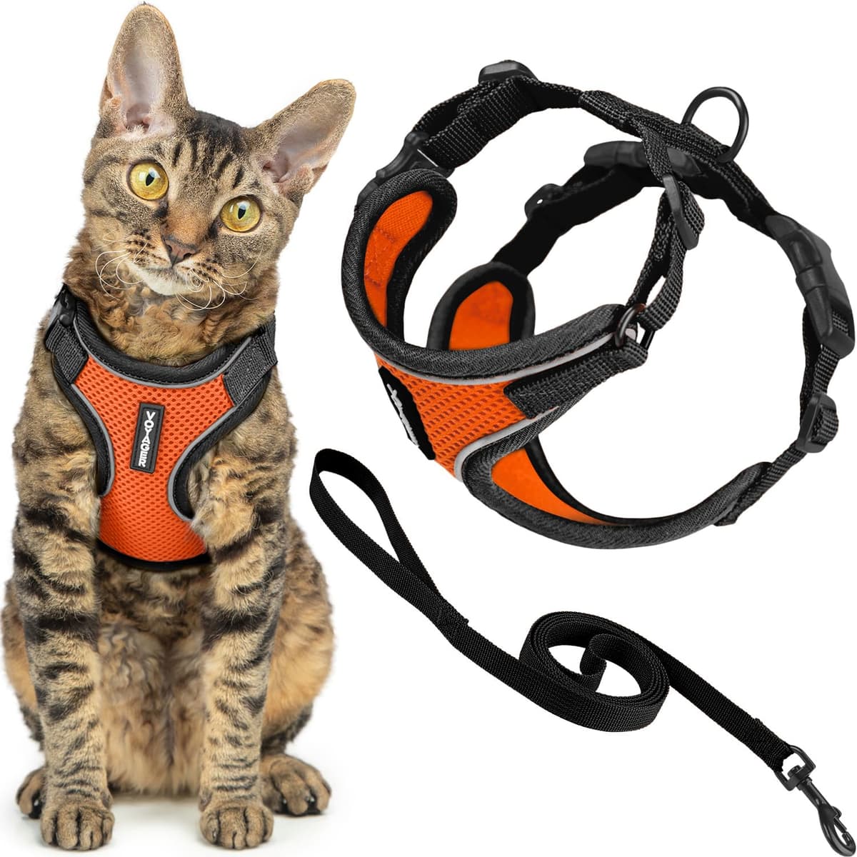 Best Pet Supplies Voyager Step-in Lock Pet Harness – All Weather Mesh, Adjustable Step in Harness for Cats and Dogs Turquoise (Matching Trim), XL (Chest: 22-36") — view 77