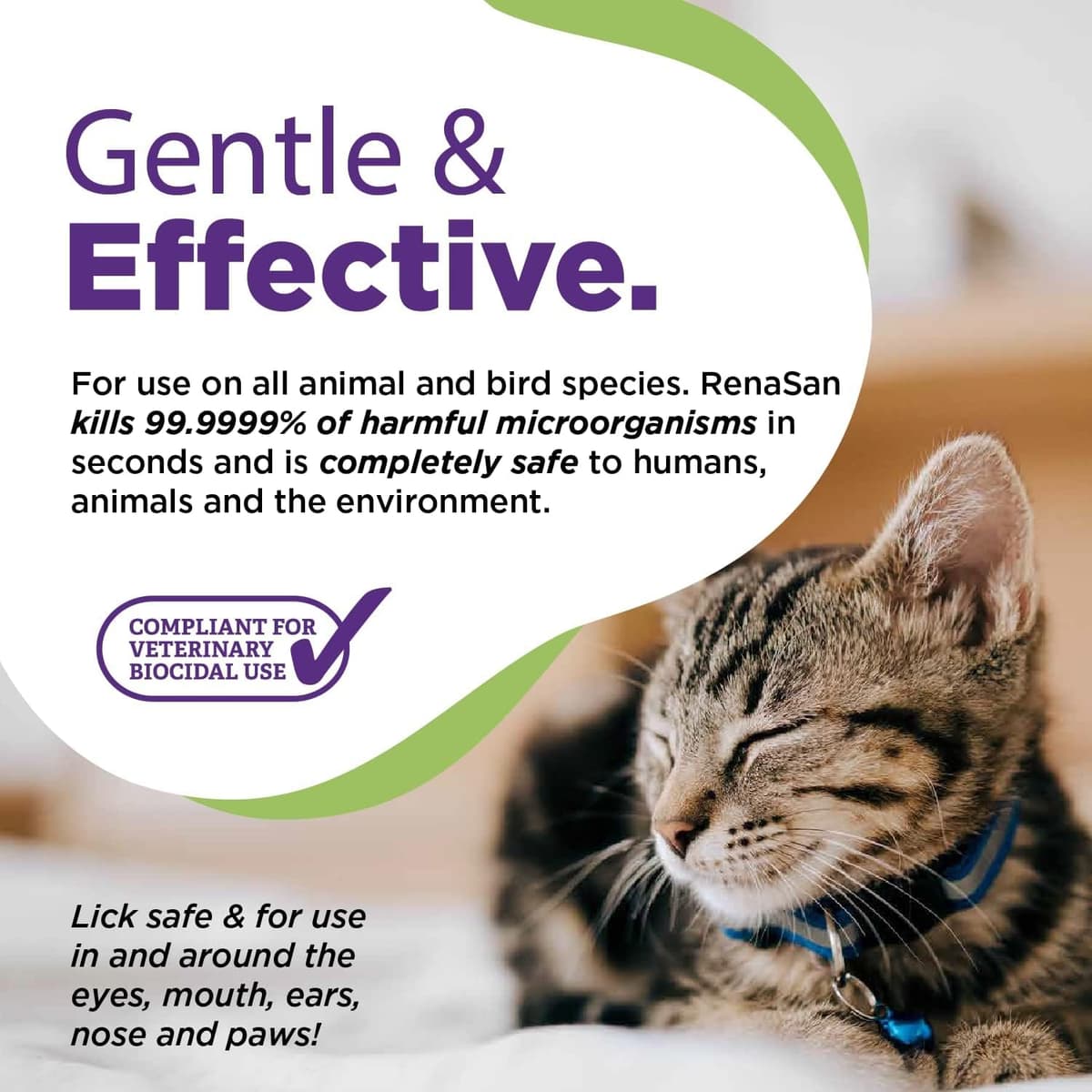 RenaSan Animal First Aid Spray (100ml) – Wound Disinfection, Kills Bacteria & Stops Itching, Alcohol-Free, Non-irritating, for Dogs, Cats & all other animals. — view 2