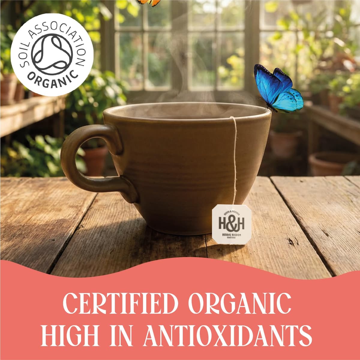 Heath & Heather - Organic Apple & Cinnamon Tea • Warming Fruit & Spice Infusion • Naturally Caffeine-Free • Vegan • Comforting & Aromatic • Multipack 6 x 20 Boxes (120 Tea Bags) — view 5