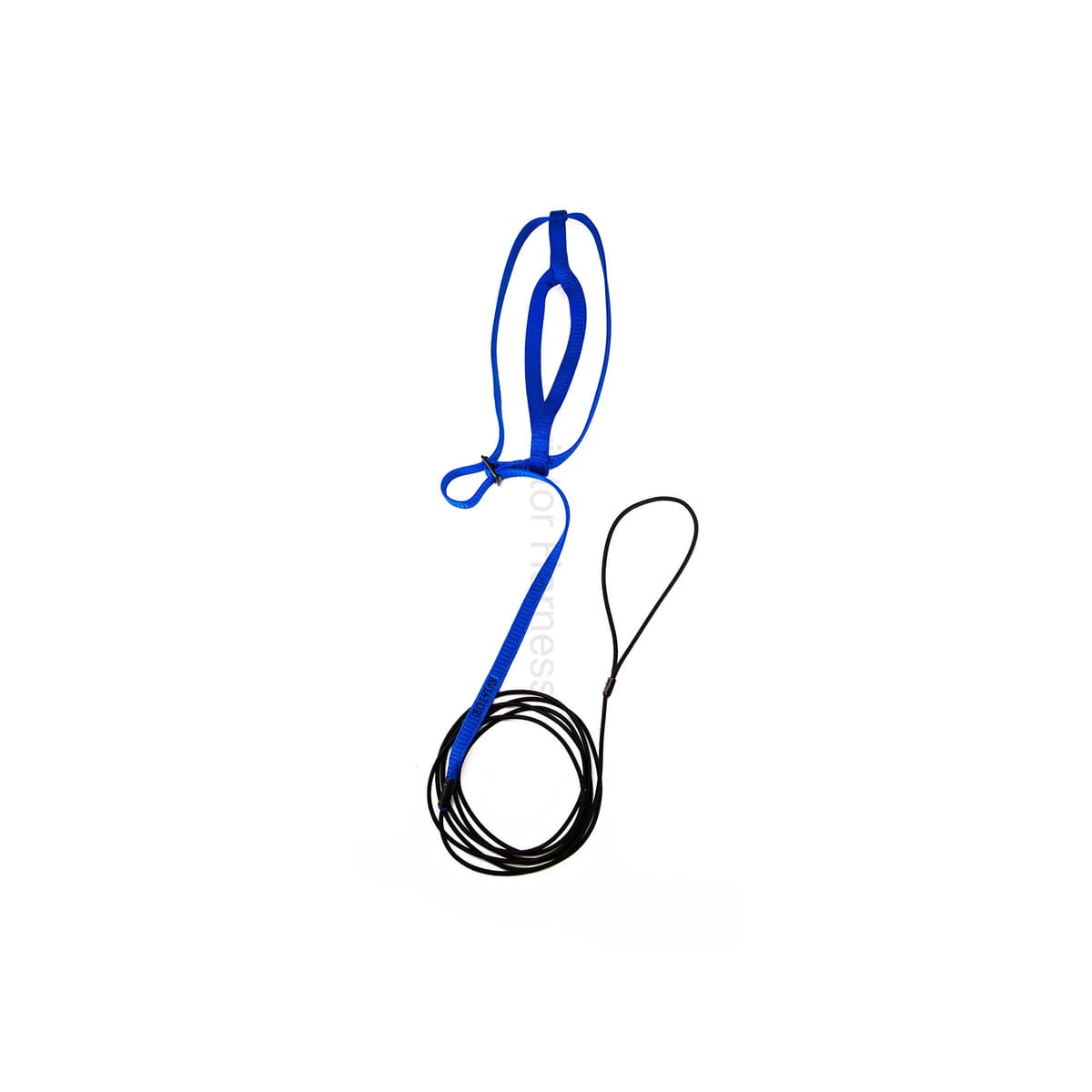 The AVIATOR Pet Bird Harness and Leash: Medium Blue — view 3